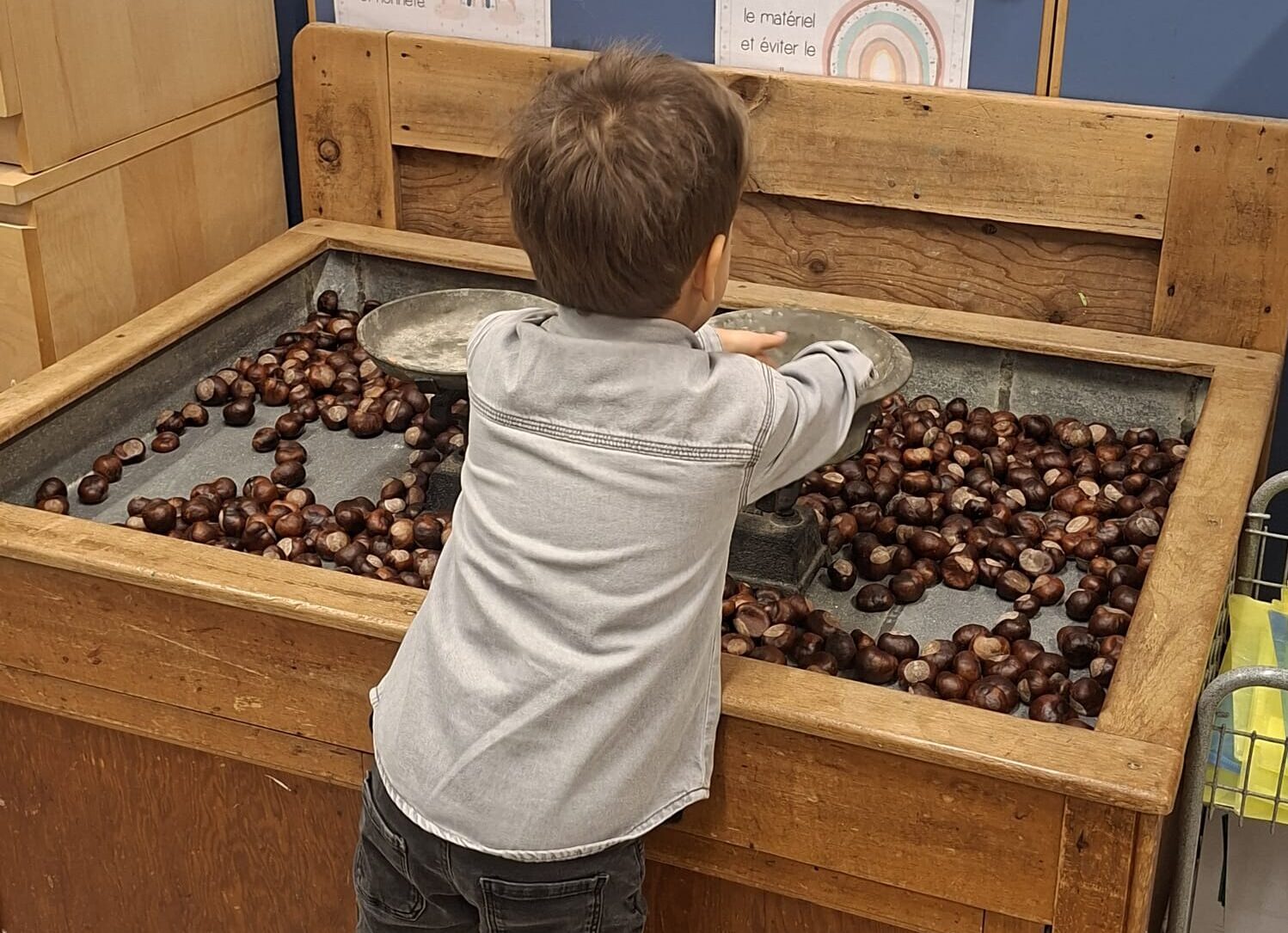 Opération marrons en maternelle